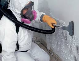 Best Emergency Mold Remediation  in Pleasant Garden, NC